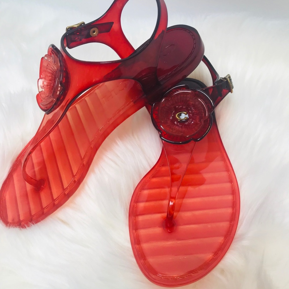 COACH-Pink Tea Rose Jelly Sandal (peony/wine) - Picture 4 of 7